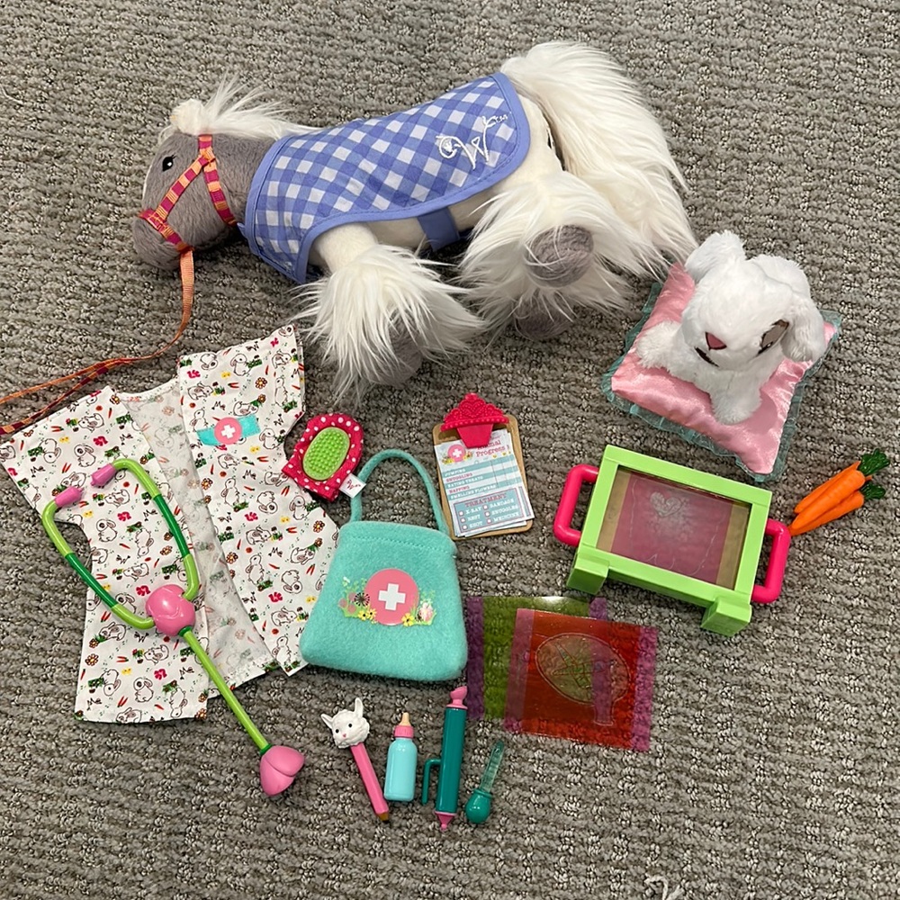 💕American Girl Wellie Wisher vet set💕 & BONUS WW clothes & shoes
